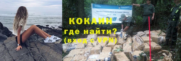 стафф Михайлов